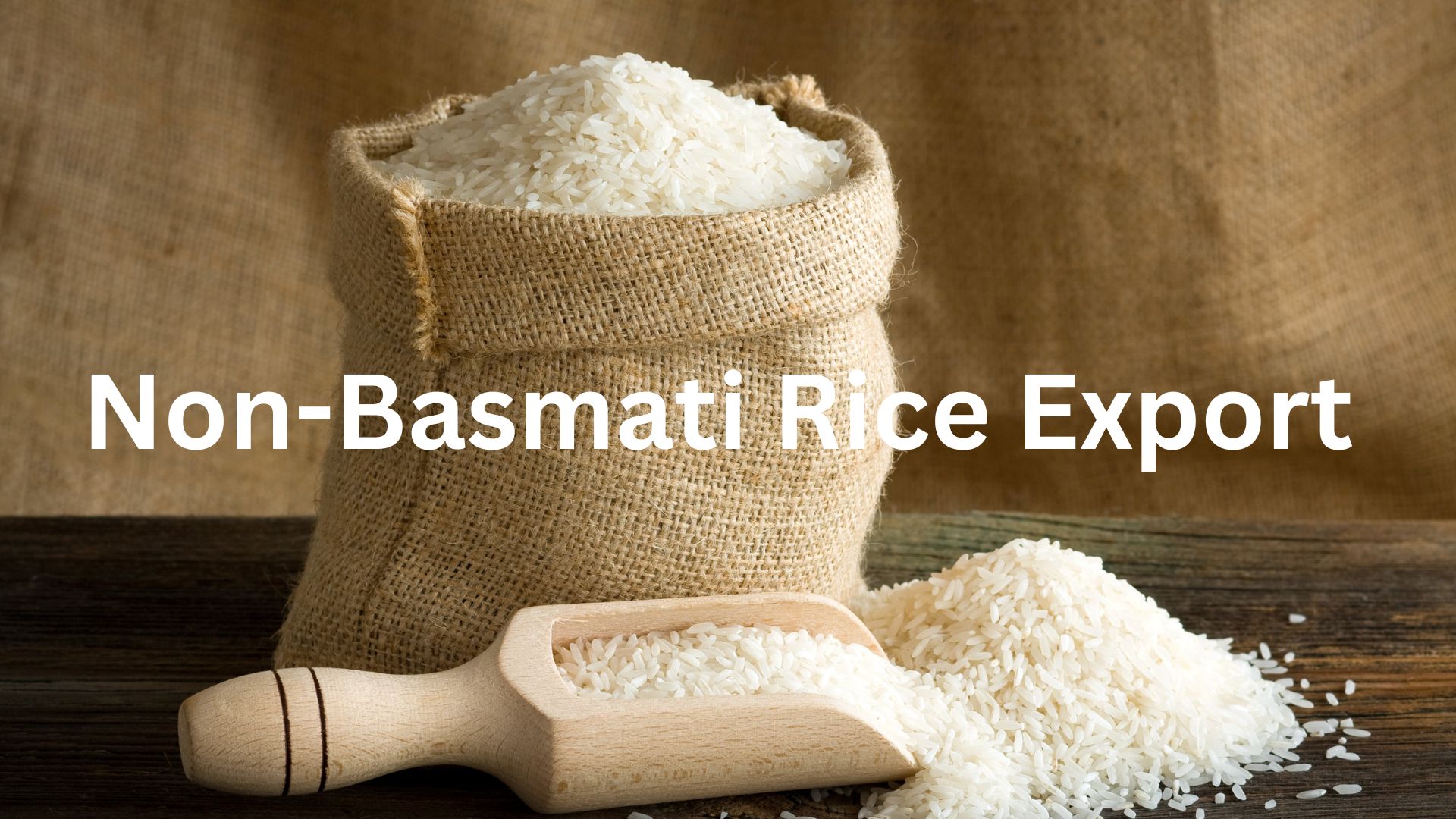 Best Non Basmati Rice Exporters